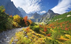 Desktop wallpaper. Nature. ID:31517