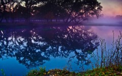 Desktop wallpaper. Nature. ID:31523