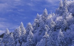 Desktop wallpaper. Nature. ID:31527