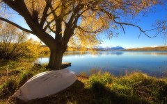 Desktop wallpaper. Nature. ID:31528