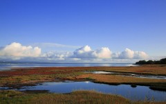 Desktop wallpaper. Nature. ID:31541