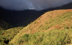 Desktop wallpaper. Nature. ID:31544