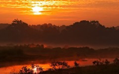 Desktop wallpaper. Nature. ID:31554