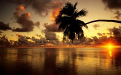 Desktop wallpaper. Nature. ID:31558