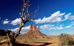 Desktop wallpaper. Nature. ID:31559