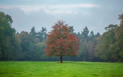 Desktop wallpaper. Nature. ID:51910