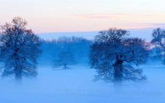Desktop wallpaper. Nature. ID:51911