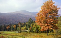 Desktop wallpaper. Nature. ID:31572