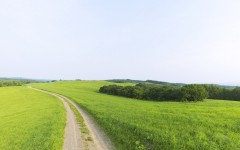 Desktop wallpaper. Nature. ID:31575