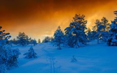 Desktop wallpaper. Nature. ID:51987