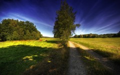 Desktop wallpaper. Nature. ID:31586