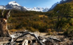 Desktop wallpaper. Nature. ID:31598
