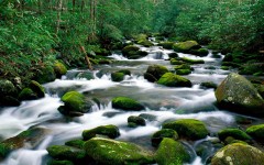 Desktop wallpaper. Nature. ID:31602