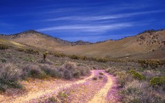 Desktop wallpaper. Nature. ID:31603