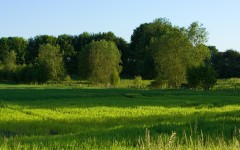 Desktop wallpaper. Nature. ID:31613
