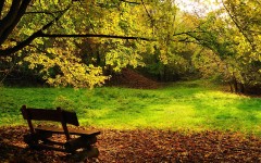 Desktop wallpaper. Nature. ID:31615