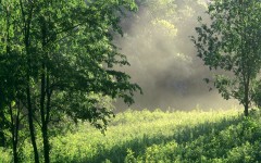 Desktop wallpaper. Nature. ID:31624