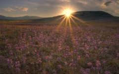Desktop image. Nature. ID:31641