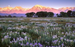 Desktop image. Nature. ID:31644