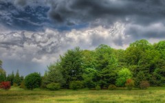 Desktop image. Nature. ID:31647