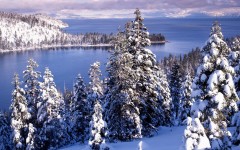 Desktop image. Nature. ID:31650