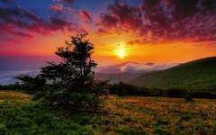Desktop wallpaper. Nature. ID:51880