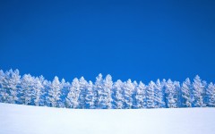 Desktop wallpaper. Nature. ID:31659