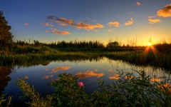 Desktop wallpaper. Nature. ID:31660