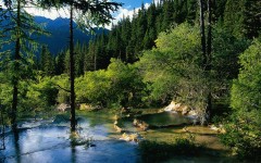 Desktop wallpaper. Nature. ID:31662