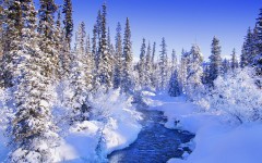 Desktop wallpaper. Nature. ID:31668