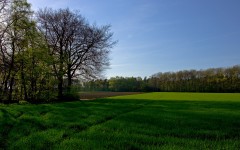 Desktop wallpaper. Nature. ID:31669