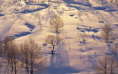 Desktop wallpaper. Nature. ID:31673