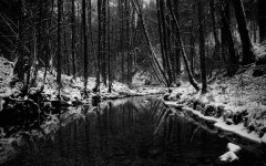 Desktop wallpaper. Nature. ID:31684