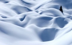 Desktop wallpaper. Nature. ID:31687