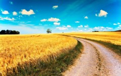 Desktop wallpaper. Nature. ID:31689