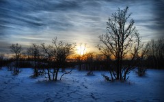 Desktop wallpaper. Nature. ID:31693