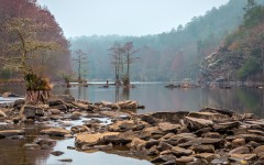 Desktop wallpaper. Nature. ID:49624