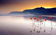 Desktop wallpaper. Nature. ID:49626