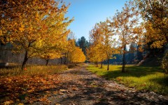 Desktop wallpaper. Nature. ID:49723