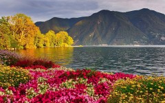 Desktop wallpaper. Nature. ID:51944