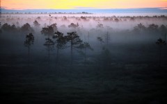 Desktop wallpaper. Nature. ID:49814