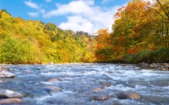 Desktop wallpaper. Nature. ID:49862