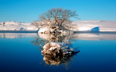 Desktop wallpaper. Nature. ID:49988