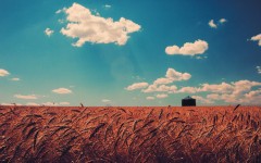 Desktop wallpaper. Nature. ID:52012