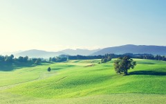 Desktop wallpaper. Nature. ID:49997