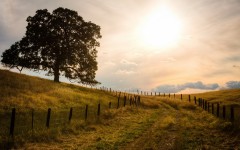 Desktop wallpaper. Nature. ID:50047