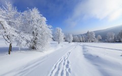 Desktop wallpaper. Nature. ID:50055