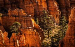 Desktop wallpaper. Nature. ID:50117