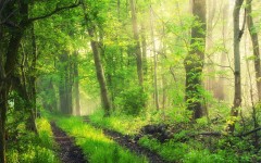 Desktop wallpaper. Nature. ID:50220