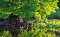 Desktop wallpaper. Nature. ID:51939